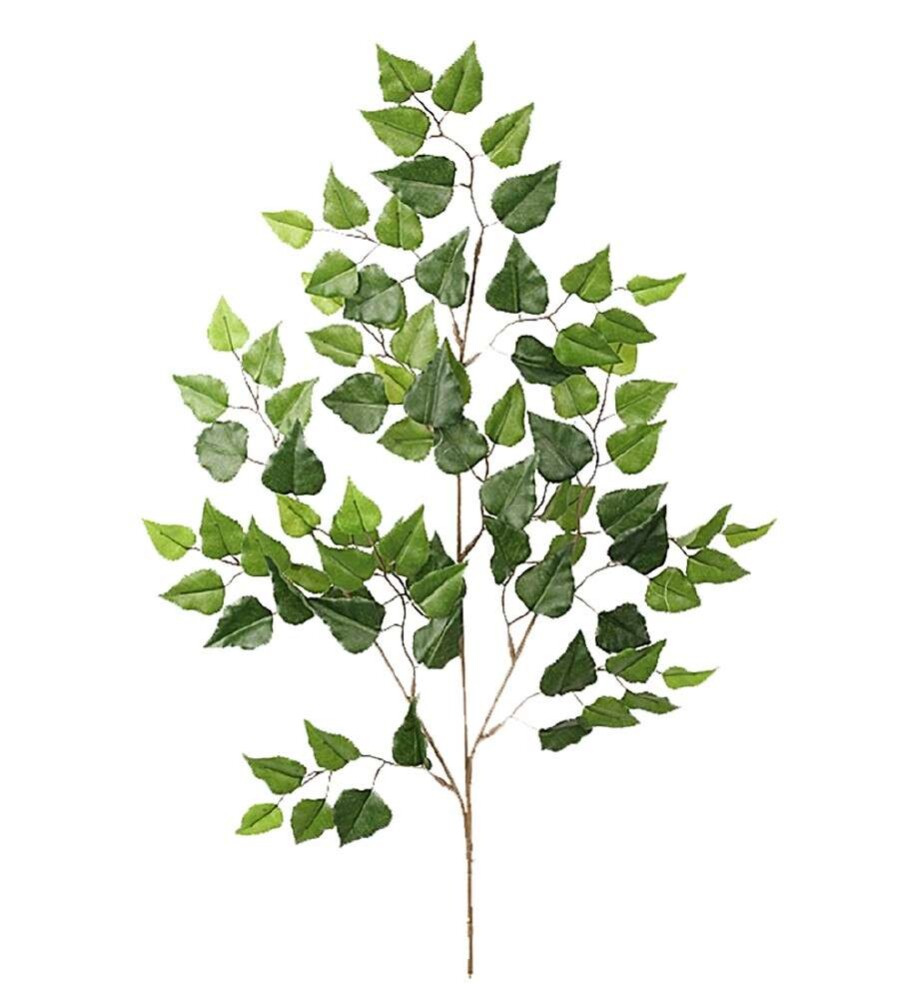 MR PLANT - BJØRK - Grønn 70 cm