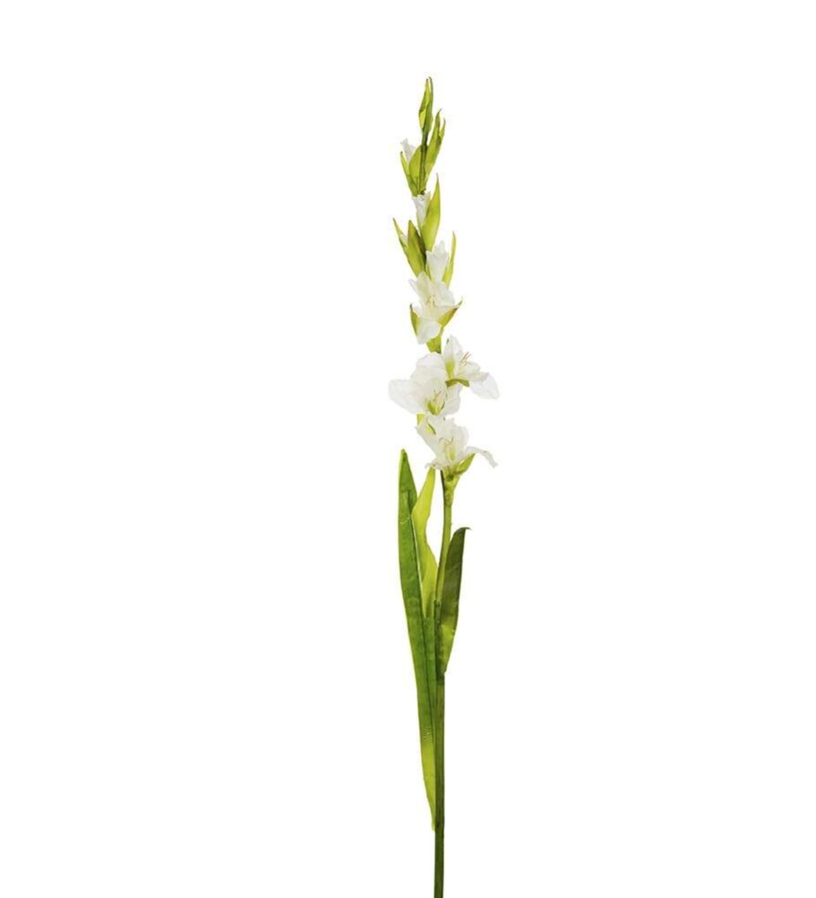 MR PLANT - GLADIOLUS - Hvit 100 cm