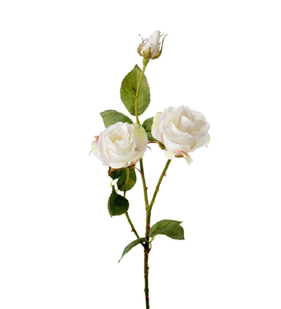 MR PLANT - ROSE - Hvit 68 cm