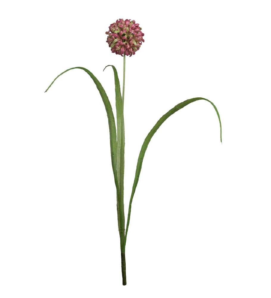 MR PLANT - ALLIUM - Lilla 40 cm