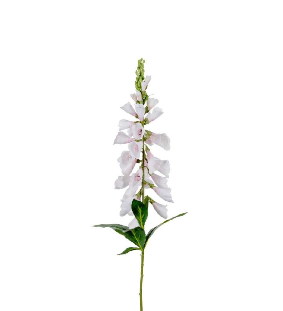 MR PLANT - DIGITALIS - Hvit 90 cm