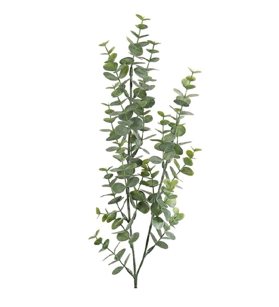 MR PLANT - EUKALYPTUS - Grønn 74 cm