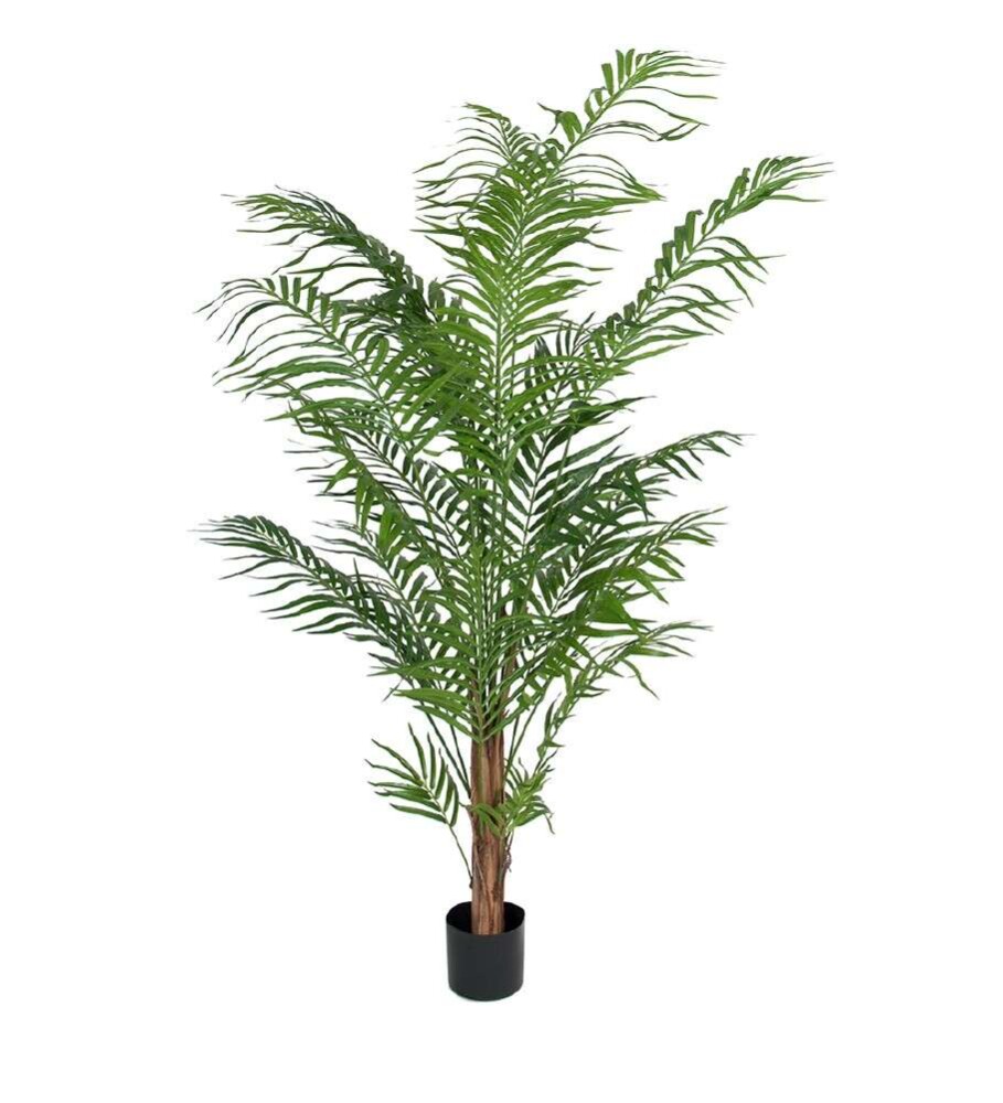 MR PLANT - ARECA PALME - Grønn 180 cm