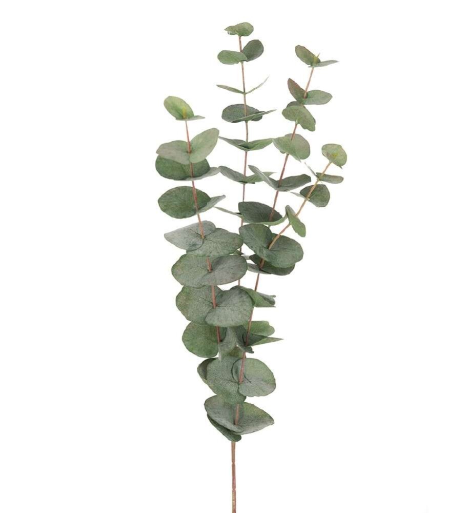 MR PLANT- EUKALYPTUS - Grønn H: 60 cm