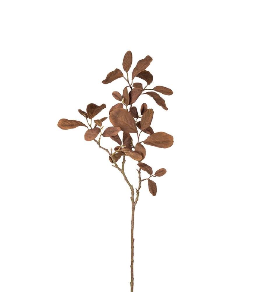 MR PLANT - KVIST - Brun 70 cm