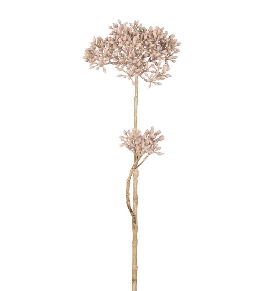 MR PLANT - SEDUM - Beige 50 cm