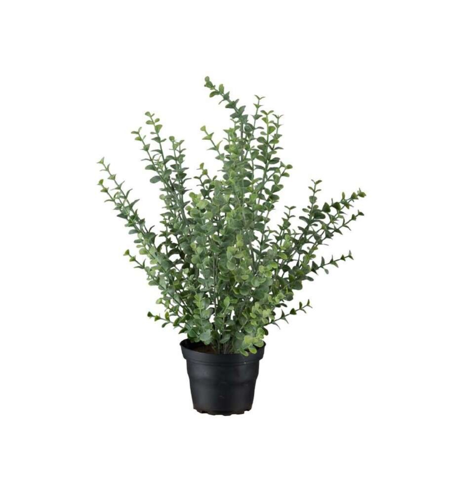 MR PLANT - EUKALYPTUS - Grønn 40 cm