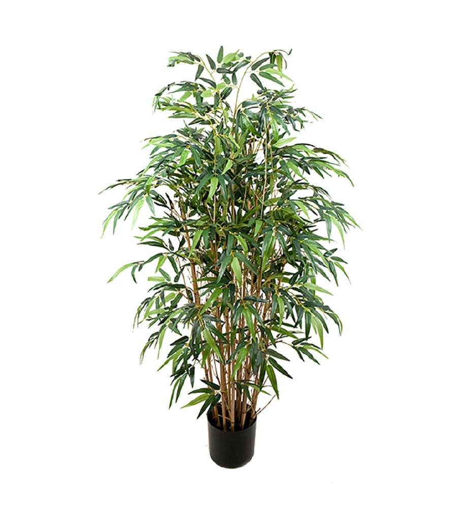 MR PLANT- BAMBUS - Grønn H: 120 cm