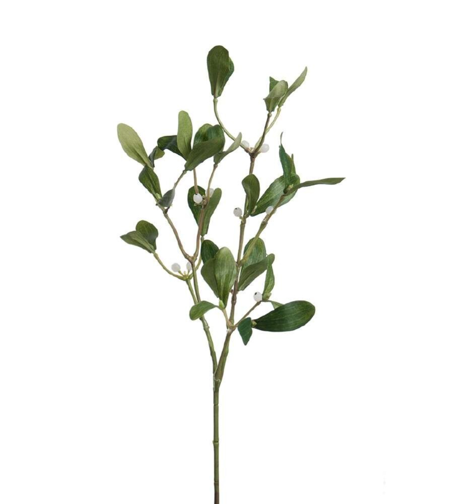 MR PLANT - MISTELTEIN - Grønn 60 cm