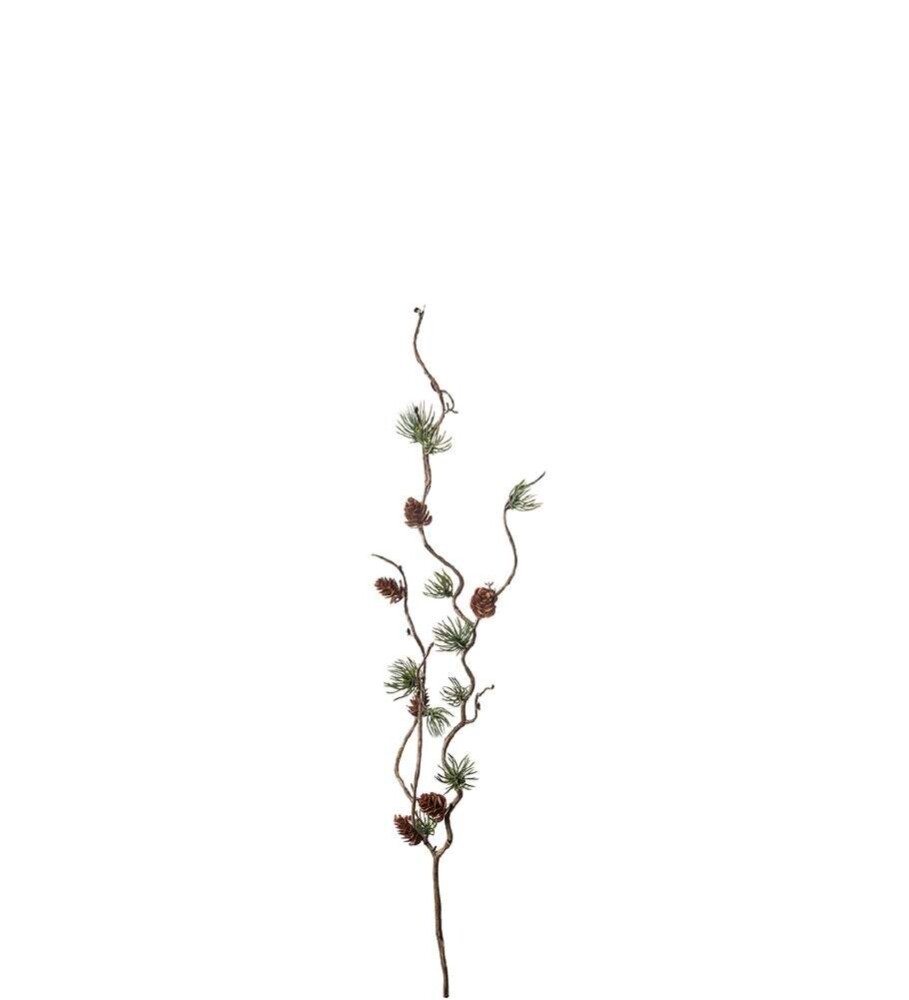 MR PLANT - LERKEKVIST - Grønn 60 cm