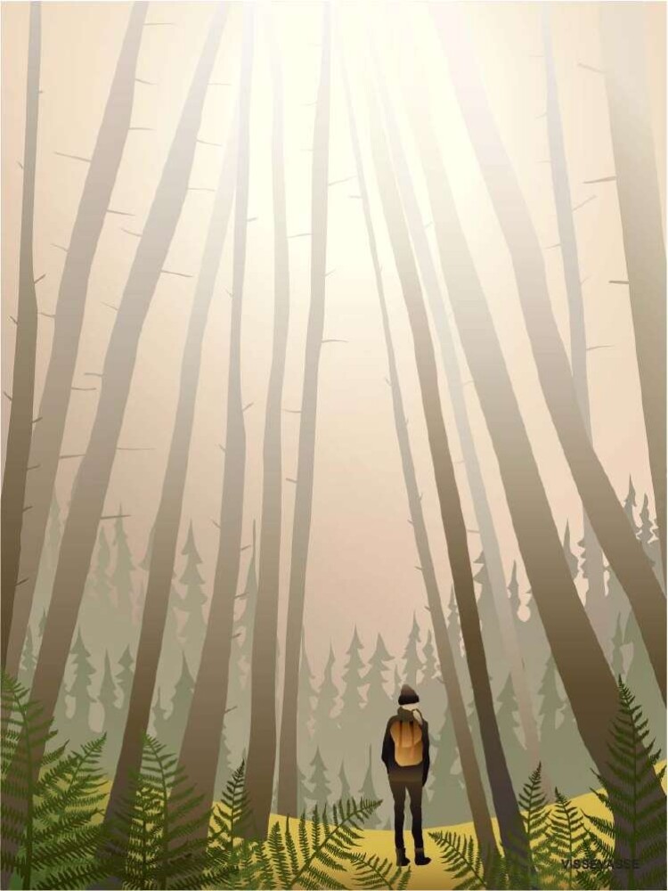 ViSSEVASSE - INTO THE WOODS - 50x70 cm