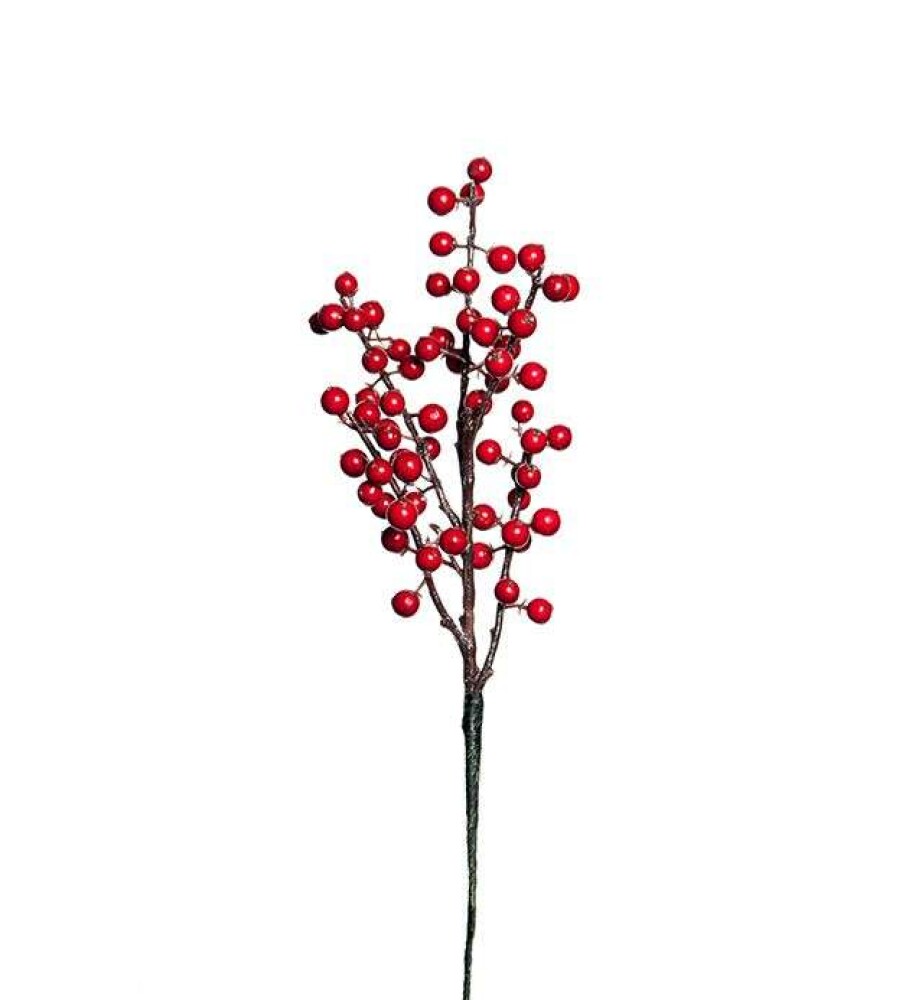 MR PLANT - BÆRKVIST - 35cm
