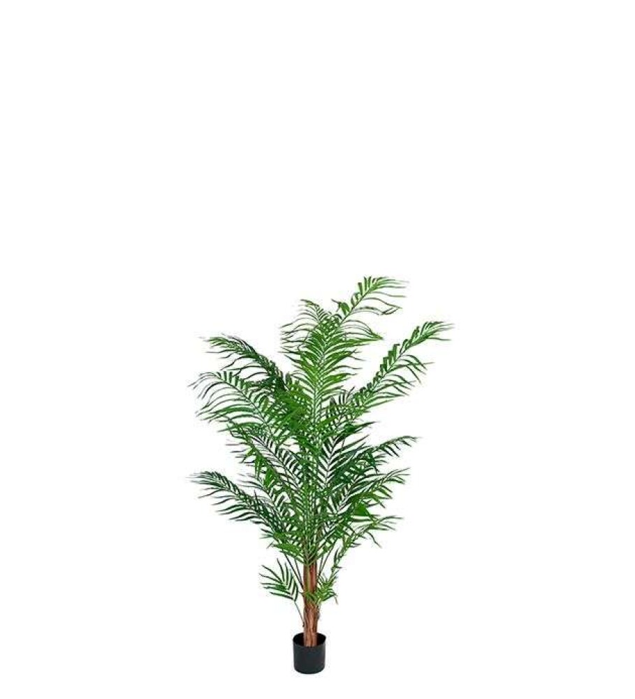 MR PLANT - ARECA PALME - 150 cm