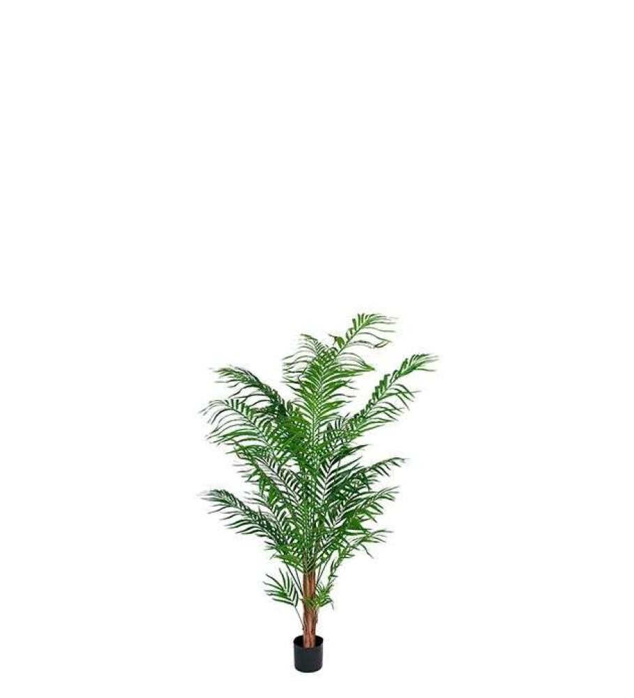 MR PLANT - ARECA PALME - 120cm