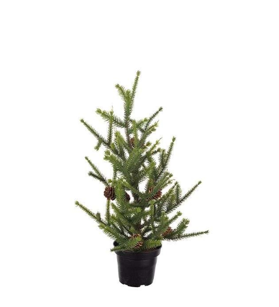 MR PLANT - GRAN - 45cm