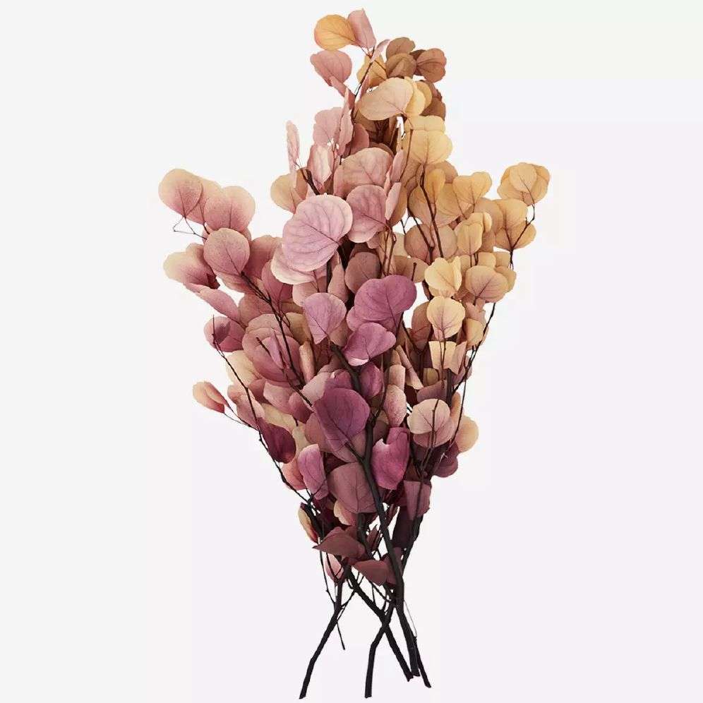 MADAM STOLTZ - TØRKET BLOMSTER - Rosa/krem 50-75cm