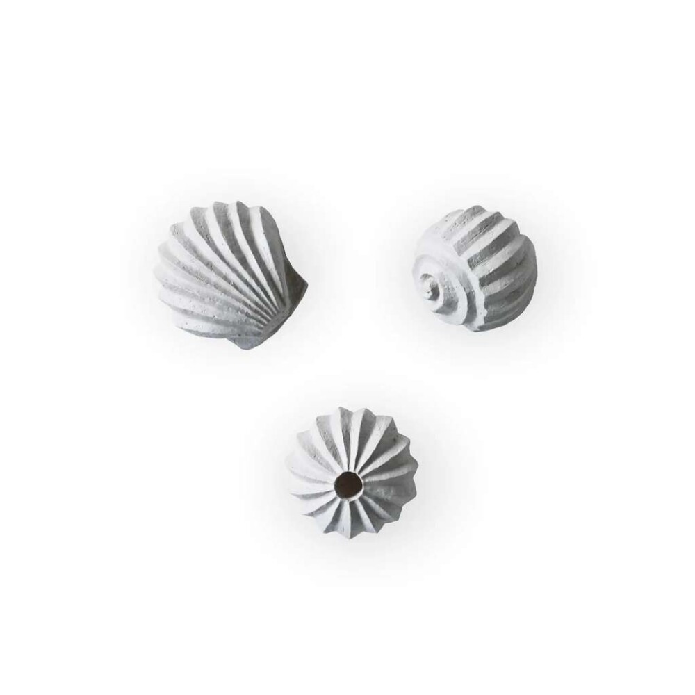 COOEE - THE GENESIS SHELLS