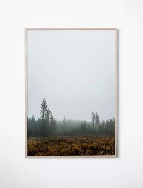 FINE LITTLE DAY - POSTER SKOG 70x100cm