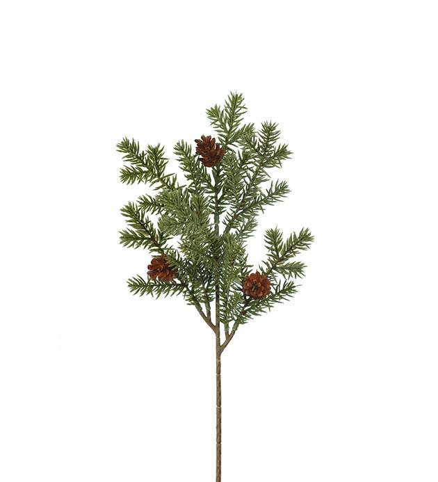 MR. PLANT - GRANKVIST MED KONGLER