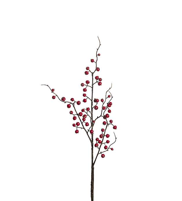 MR. PLANT - BÆRKVIST RØD