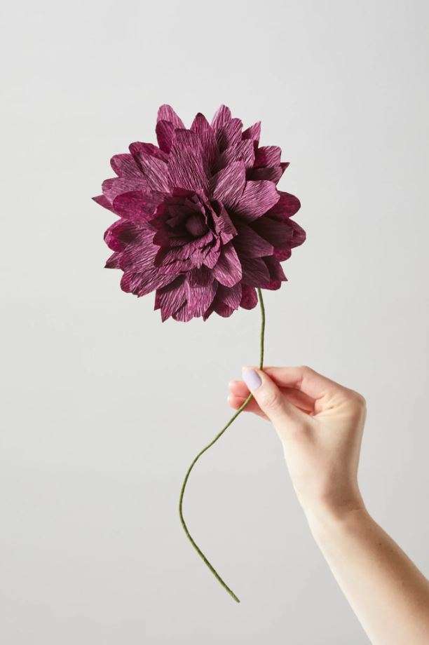 STUDIO ABOUT - GRAND DAHLIA