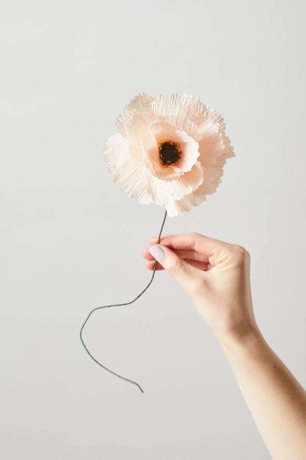STUDIO ABOUT - BLOMST PEON