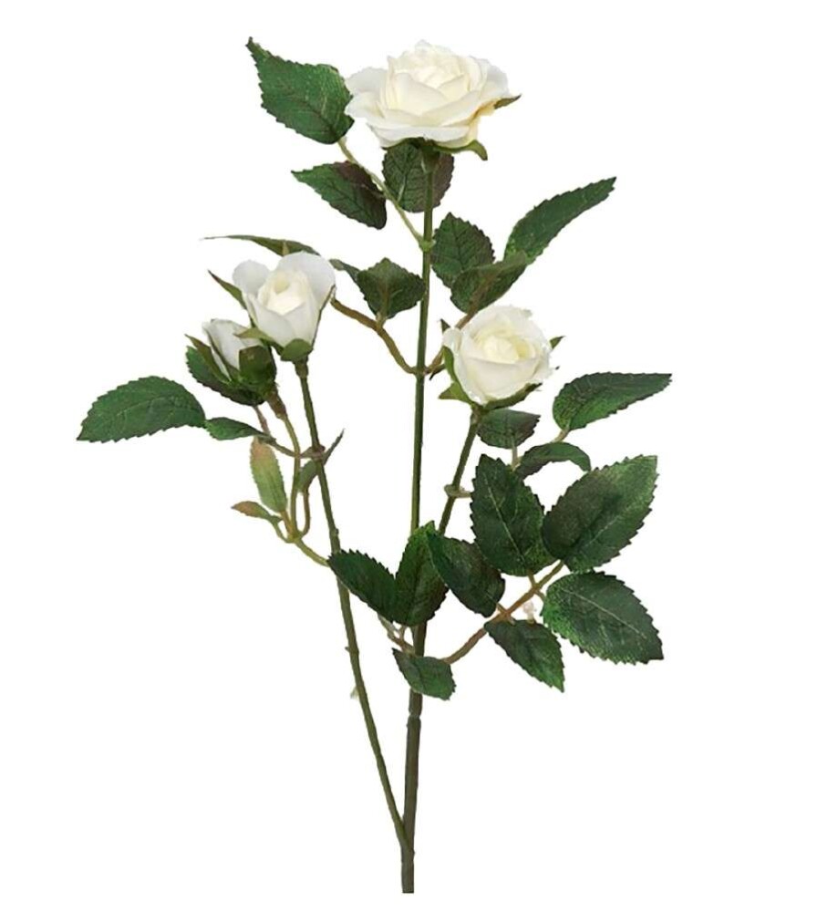 MR PLANT - ROSE - Hvit 27 cm