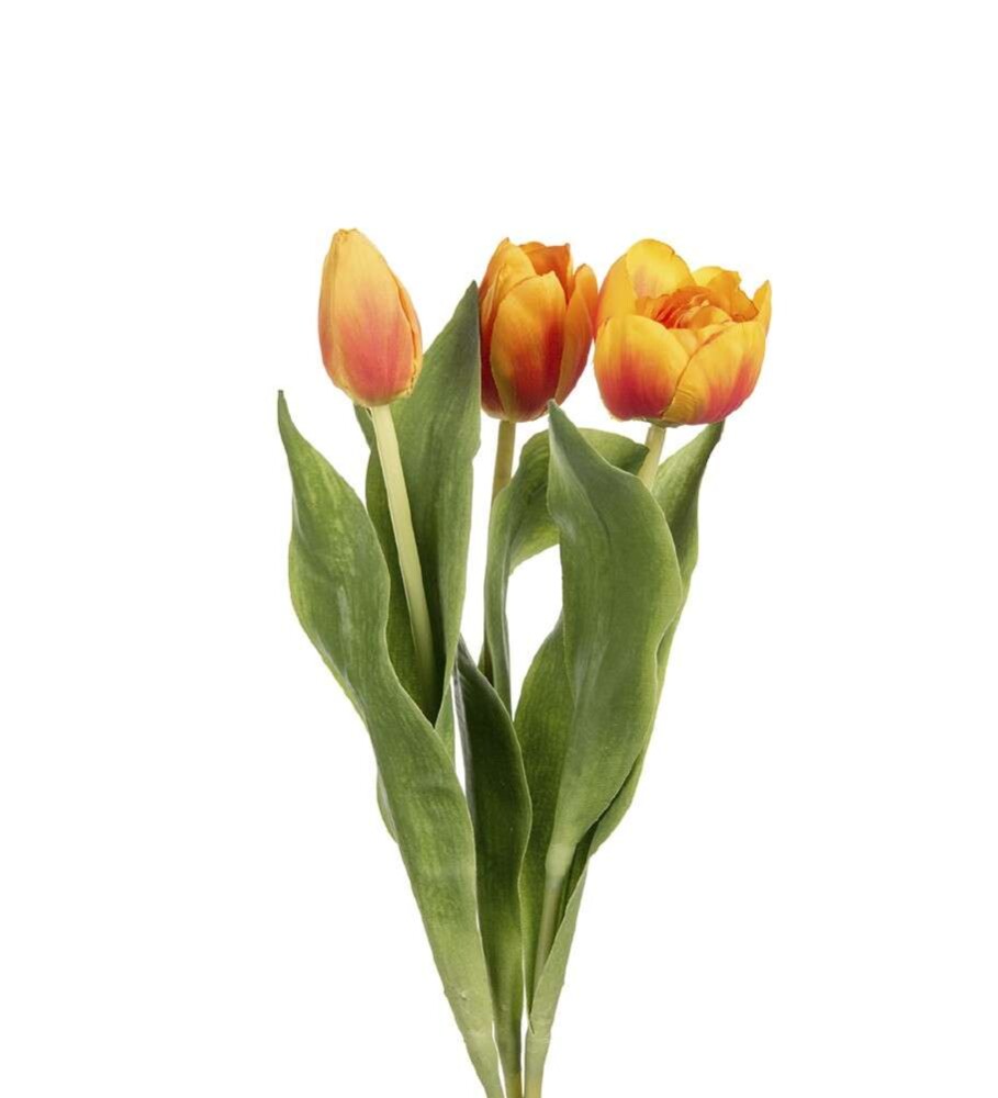MR PLANT - TULIPAN - Oransje 36 cm
