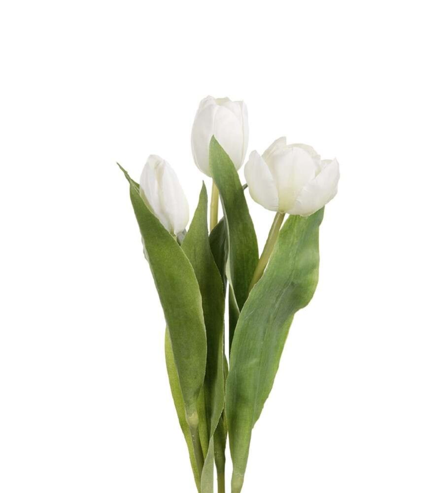MR PLANT - TULIPAN - Hvit 36 cm
