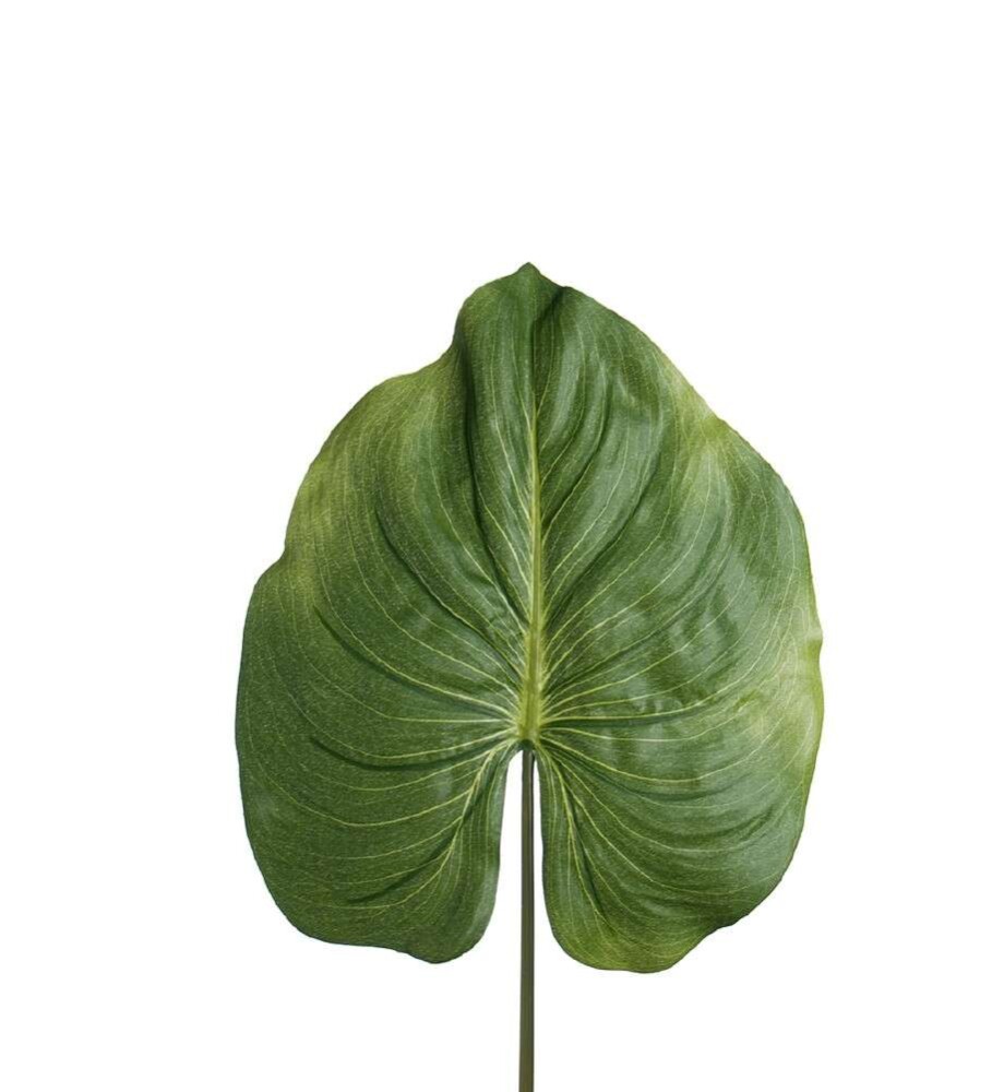MR PLANT - BLAD - Grønn 85 cm