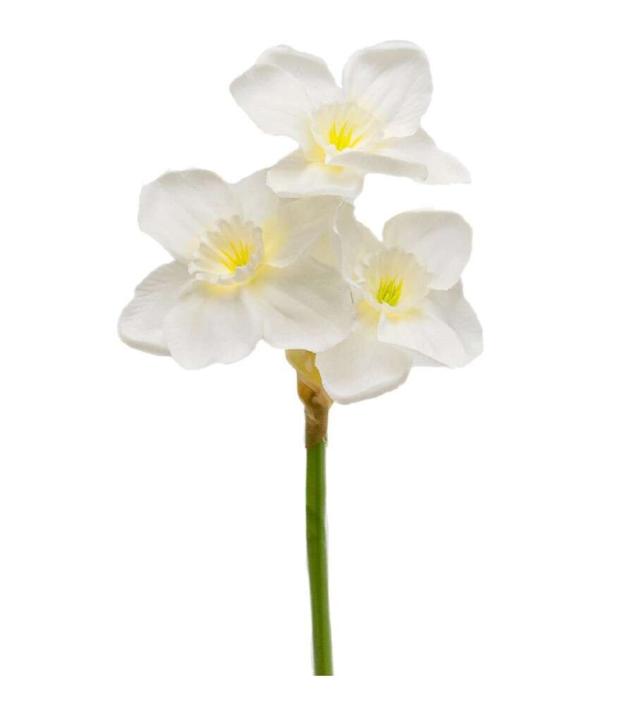 MR PLANT - NARCISSUS - Hvit 25 cm