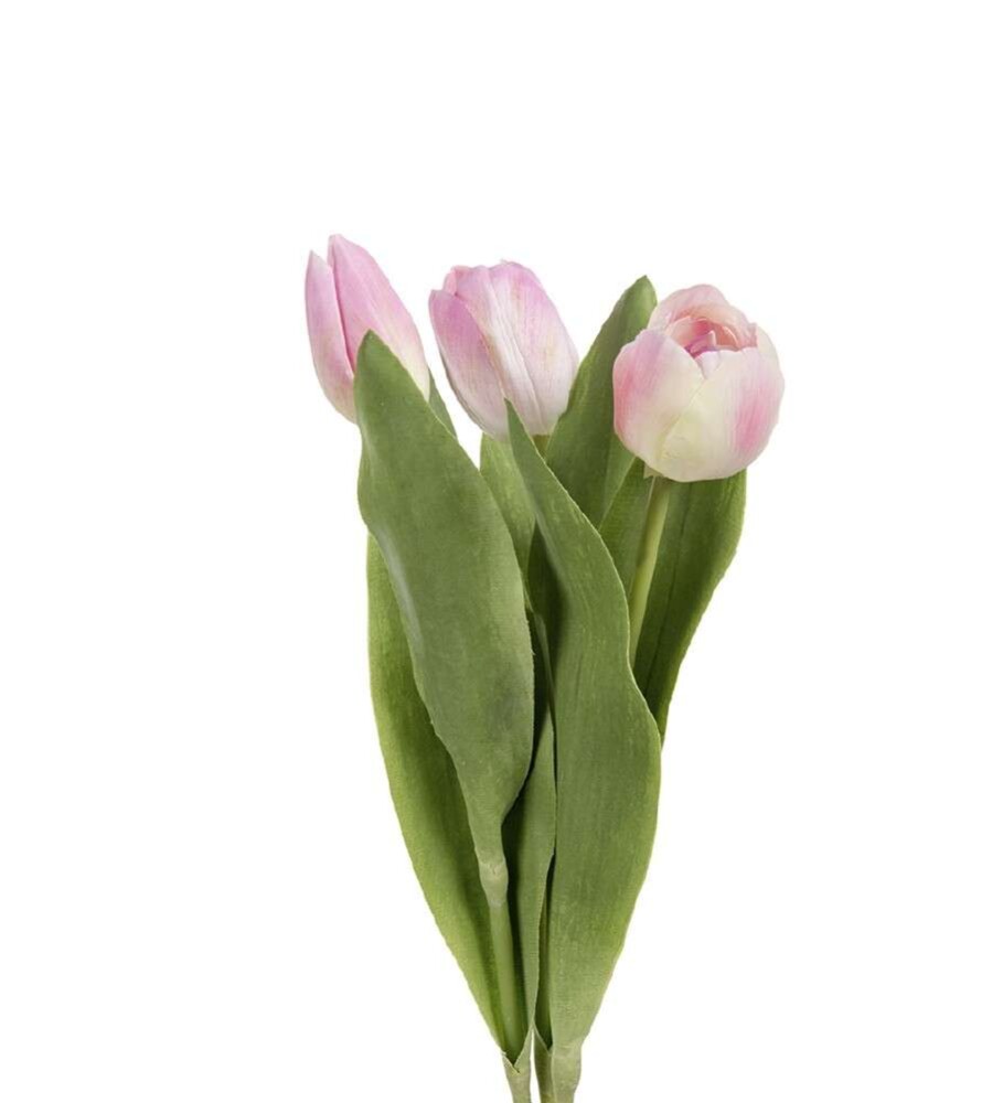 MR PLANT - TULIPAN - Rosa 36 cm