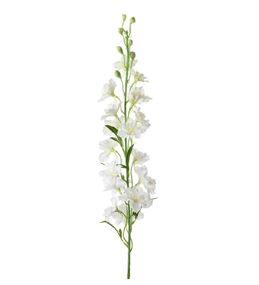 MR PLANT - DELPHINIUM - Hvit 90 cm