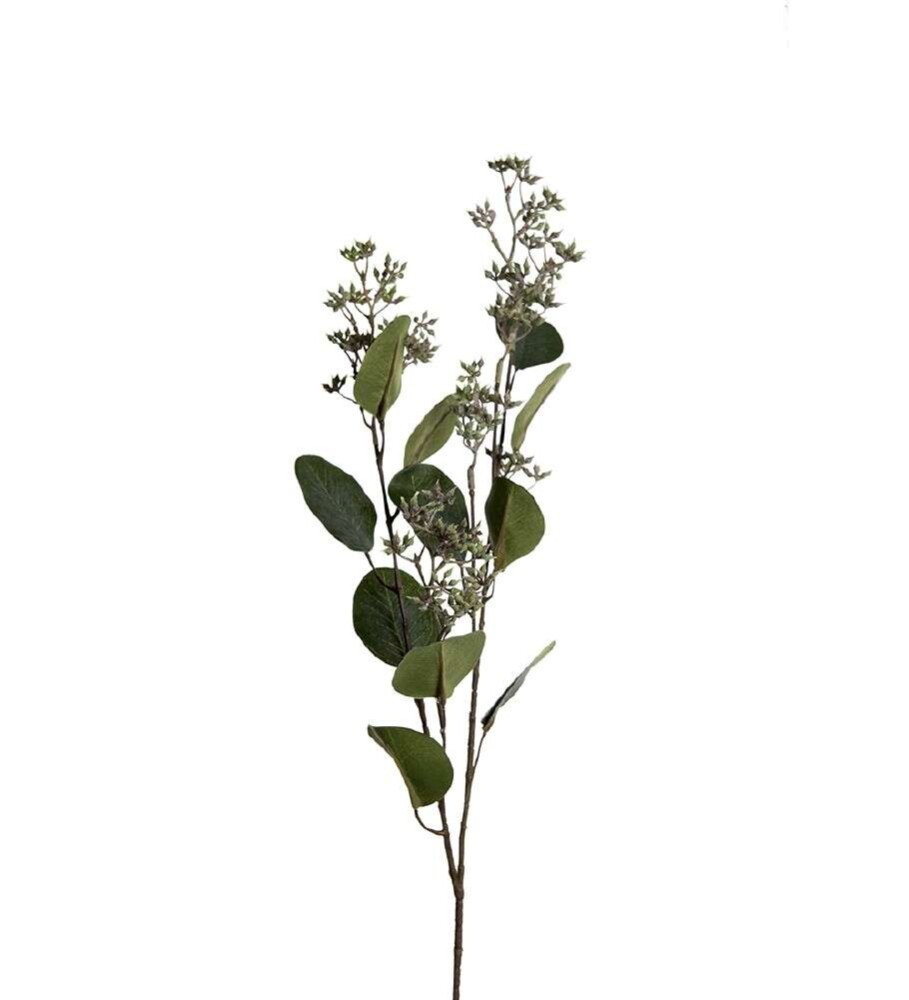 MR PLANT - EUKALYPTUS - Grønn 75 cm