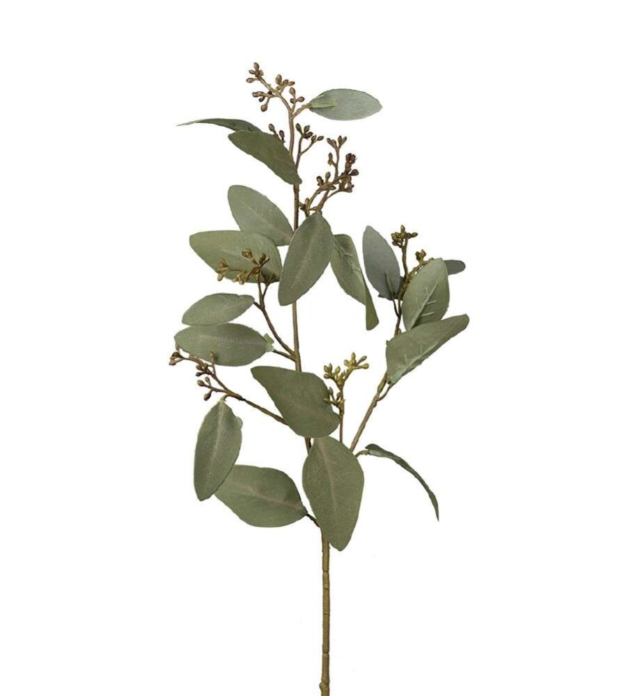 MR PLANT - EUKALYPTUS - Grønn 60 cm