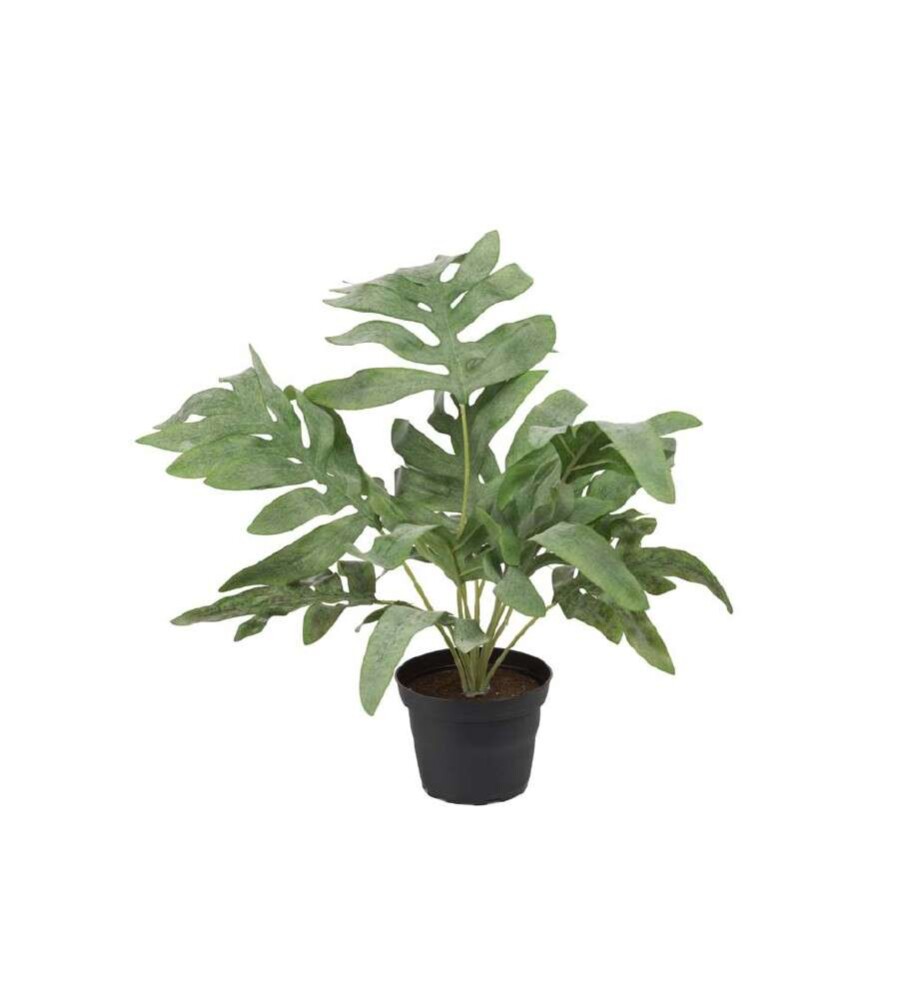 MR PLANT - ORMBUNKE - Grønn 30 cm