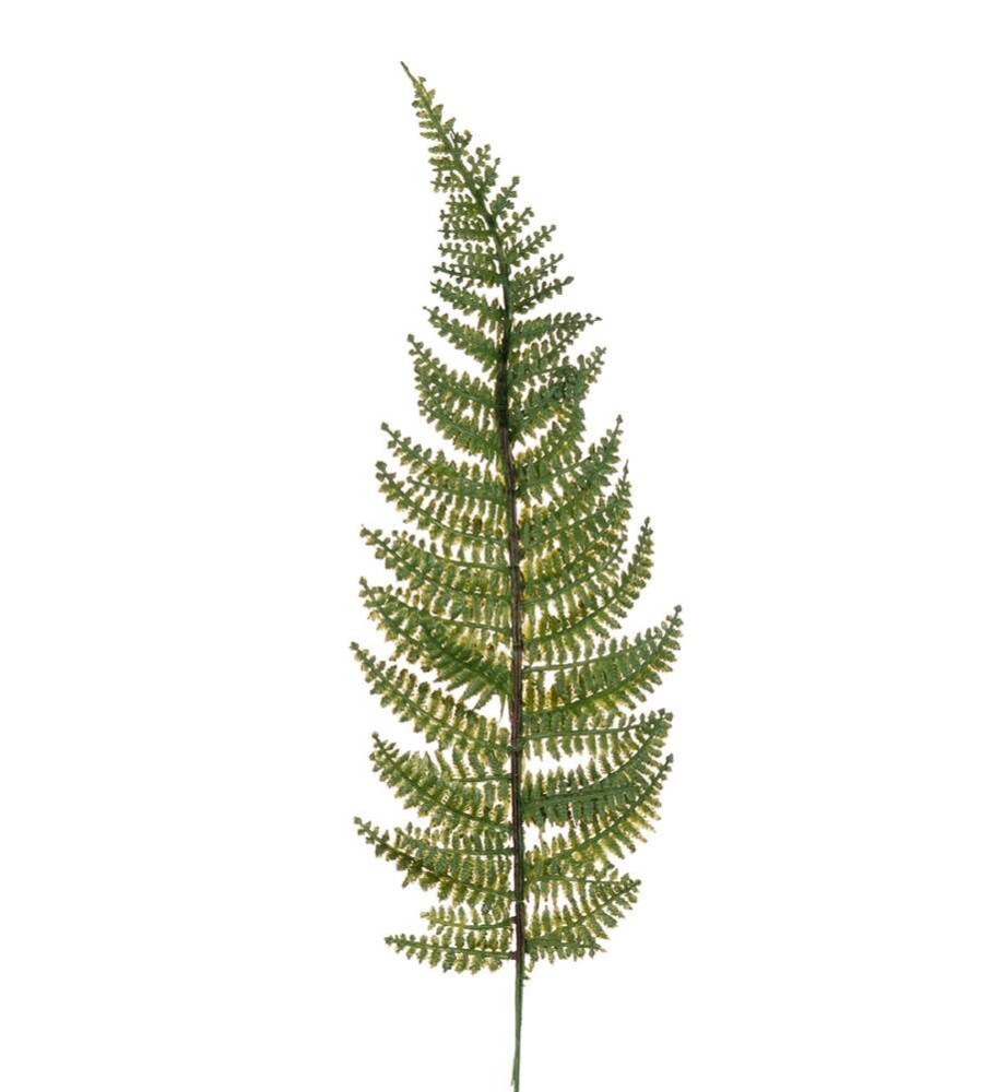 MR PLANT - FROND - Grønn 38 cm