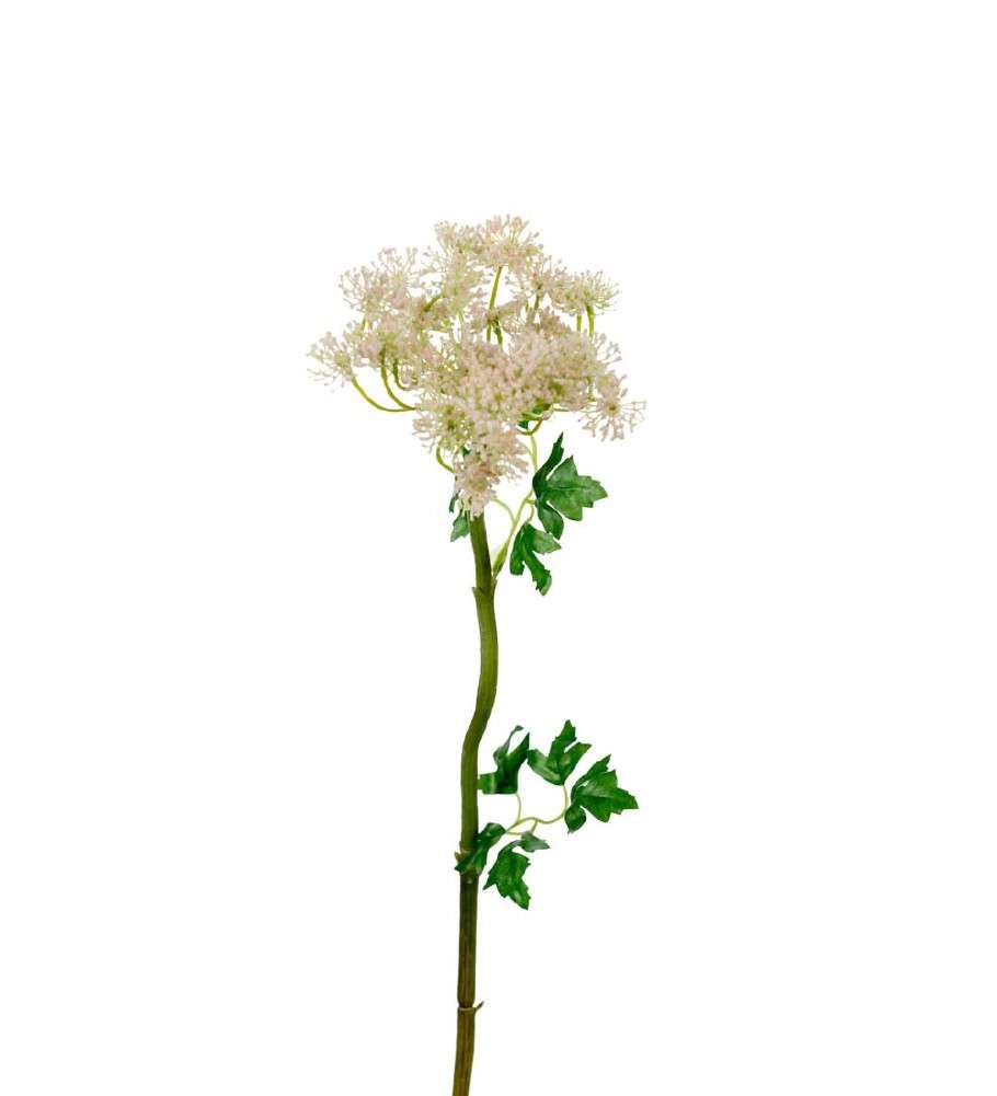 MR PLANT - HUNDEKJEKS - Rosa 60 cm