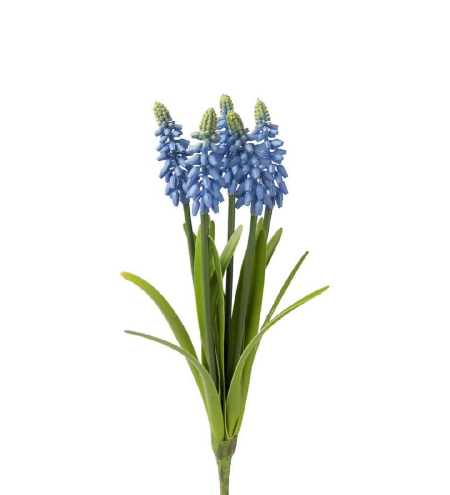 MR PLANT - PERLEHYASINT - Blå 30 cm